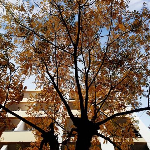 哈尔滨工业大学威海分数线相关长尾关键词有哪些