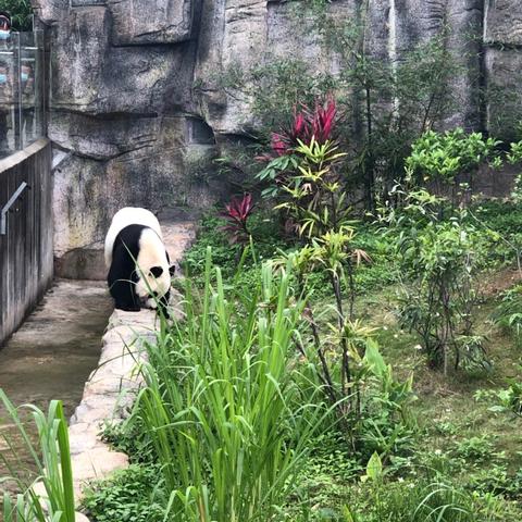 东莞市有哪些野生动物园