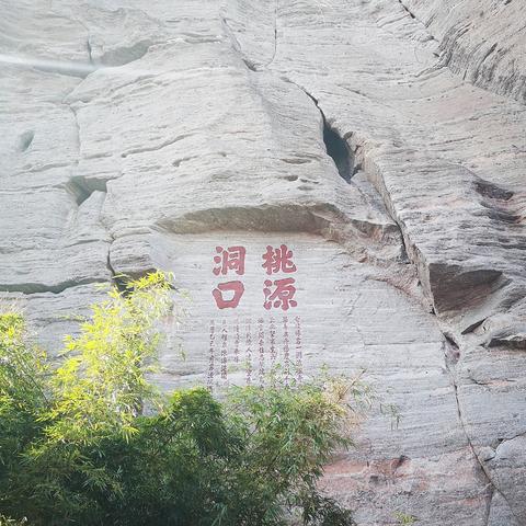 福建医大余教授的相关长尾关键词有哪些