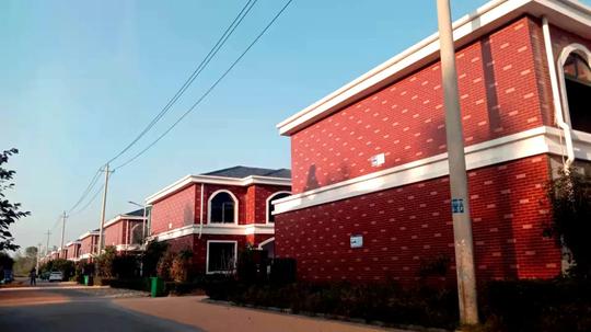 借“公共空间治理”违规占地江苏宿迁农村土地治理走样