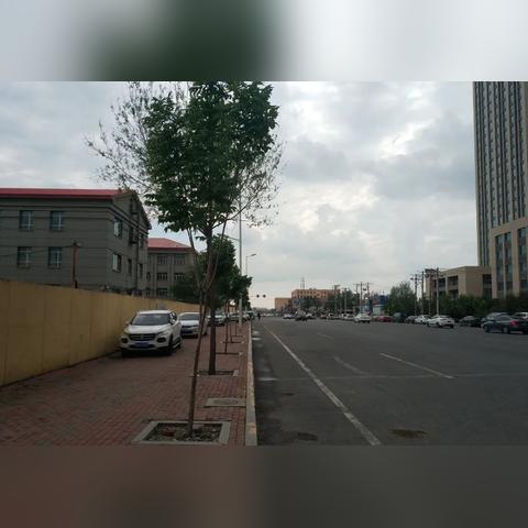 哈尔滨公益群相关长尾关键词有哪些