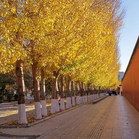 沈阳市庙哪个最大