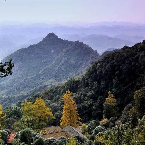 成都市区内的寺庙有哪些