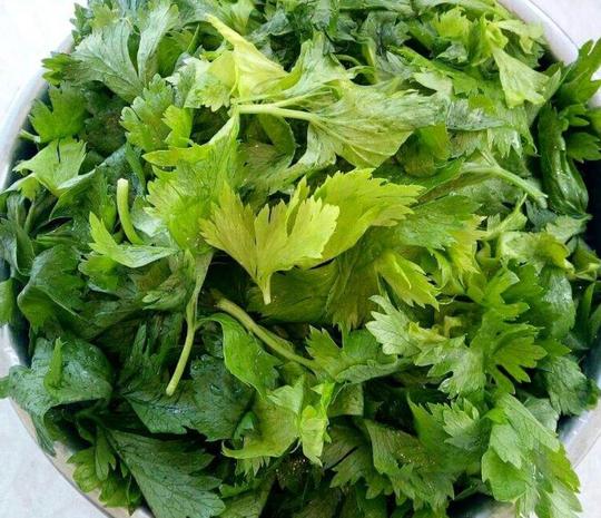 芹菜叶子别扔，撒把面粉一搅一蒸，无油烟不上火，比炒芹菜好吃
