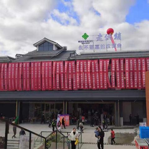 温州市石斛苗市场的长尾关键词有哪些