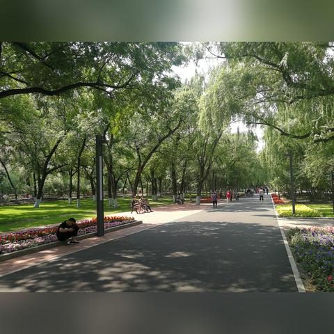 哈尔滨夏日打卡景点的相关长尾关键词有哪些