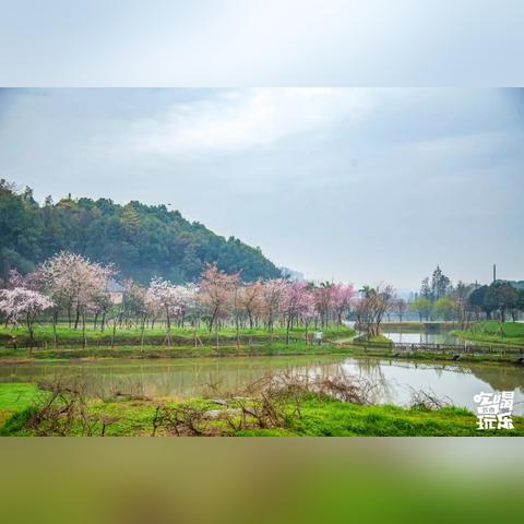 长沙雾相关长尾关键词有哪些