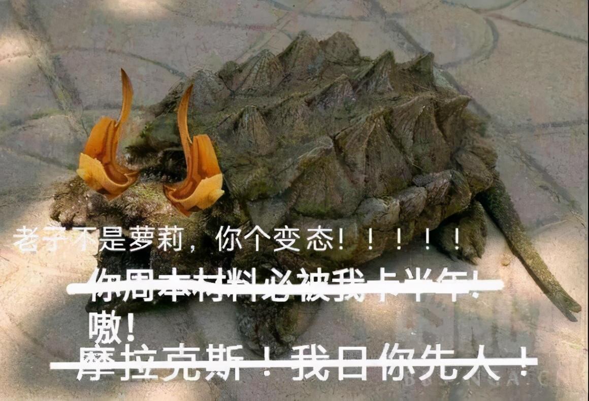 原神若如龙王怎么开副本（原神若陀龙王怎么开秘境）