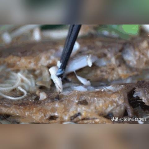 苏州市哪个河里有马黄鱼