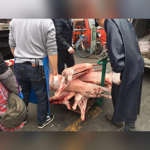 哈尔滨白家馆羊肉相关长尾关键词有哪些