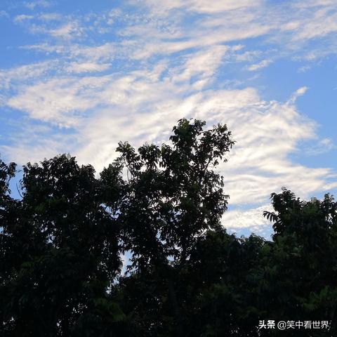篮月亮资料免费资料大全的长尾关键词有什么