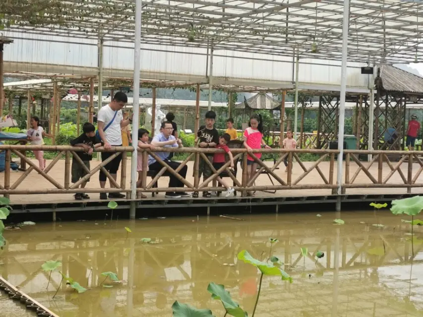 如何让微信打开新闻直播 用微信如何做个新闻直播