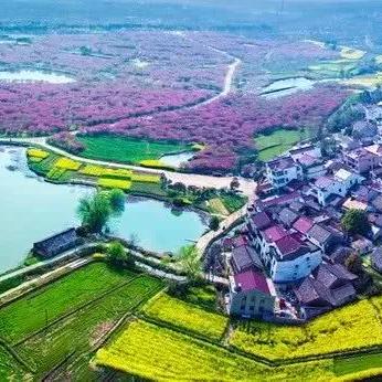 [金坛到苏州的车]长尾关键词有什么