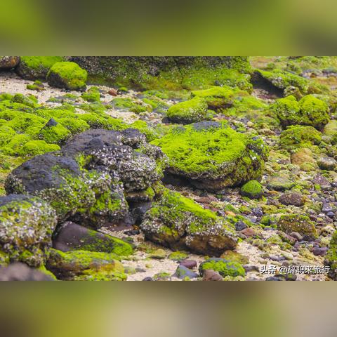 南宁市与三亚市哪个大