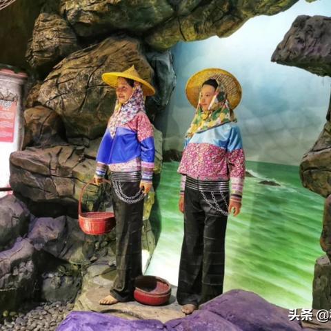 厦门可以捡到海螺吗的相关长尾关键词有哪些