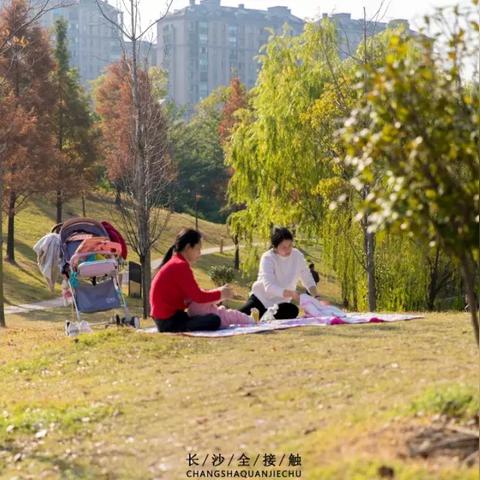 长沙市哪个地方车少