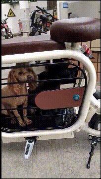 梦见自己摆地摊卖东西