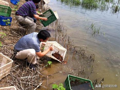 在农村种地不挣钱，为何他们这三种人却发了？而你为啥没挣到钱