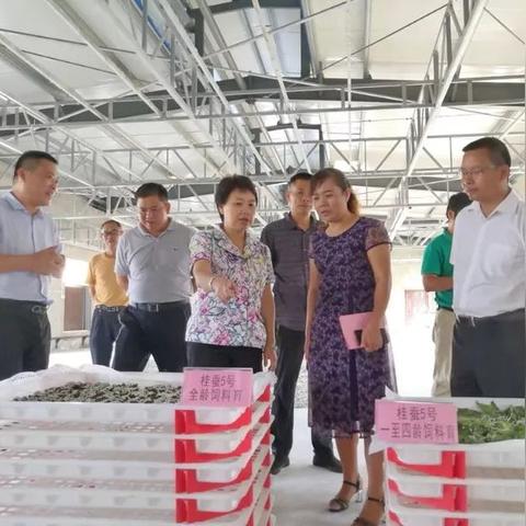 南宁东至东安东的相关长尾关键词有哪些