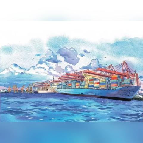 灾圈是什么组织