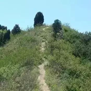 渭南足球运动员的长尾关键词有什么