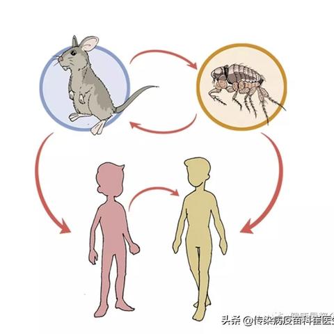 河南五例病人的相关长尾关键词有哪些