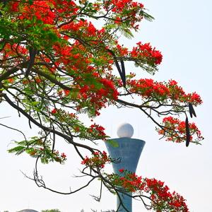 厦门景点全景图的相关长尾关键词有哪些