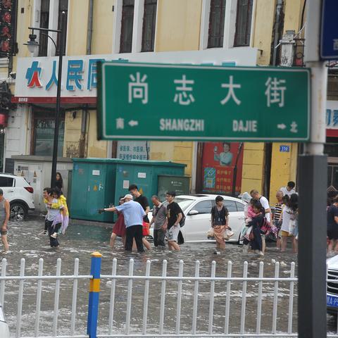 哈尔滨直播堵车事件相关长尾关键词有哪些