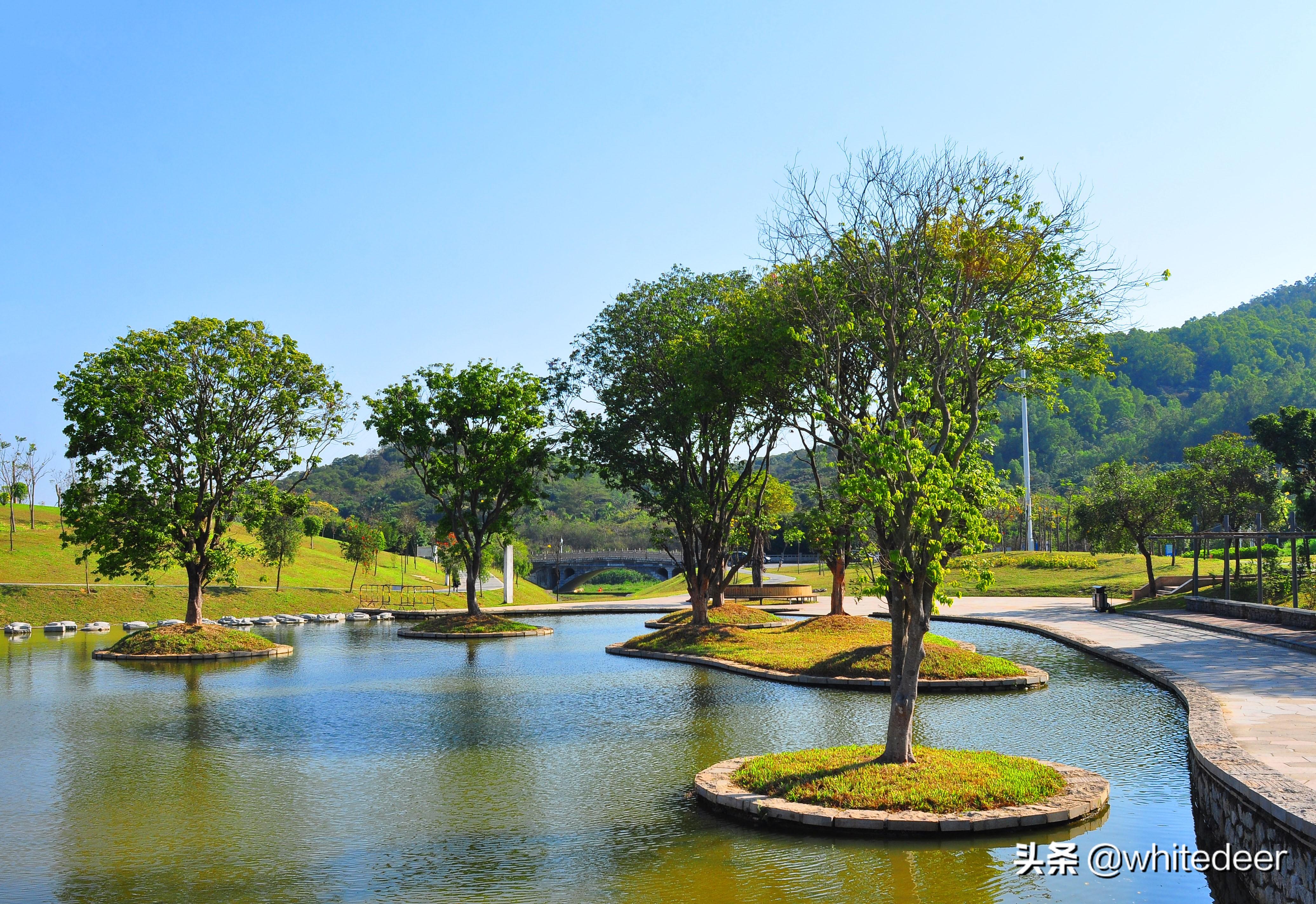 百度数据平台数据标注赚钱吗(什么叫语音转写标注员)