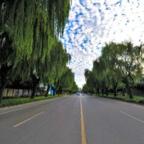 菏泽市转让的商铺的长尾关键词有哪些