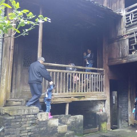 桂林花鸟市场周末相关长尾关键词有哪些