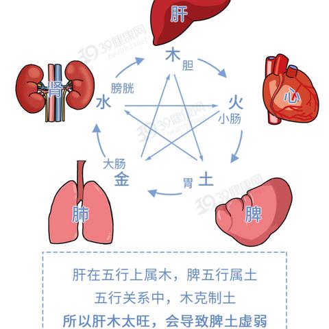 五行的异常调节规律有哪些(五行调整)