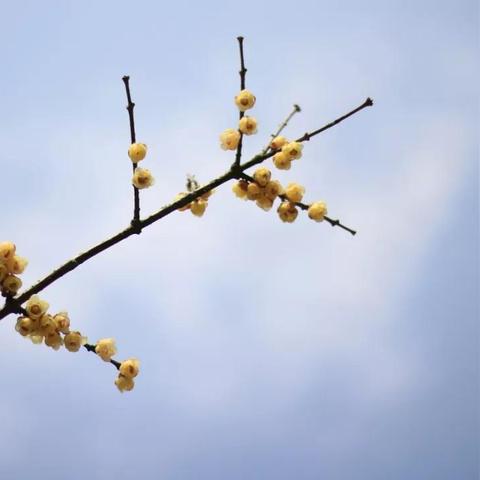 哈尔滨中山公交203路相关长尾关键词有哪些