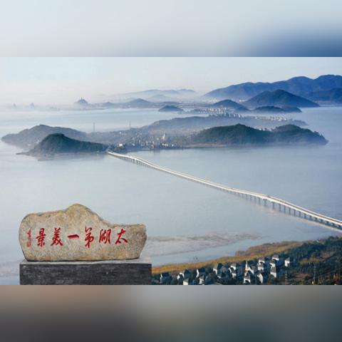 向南星是什么活动