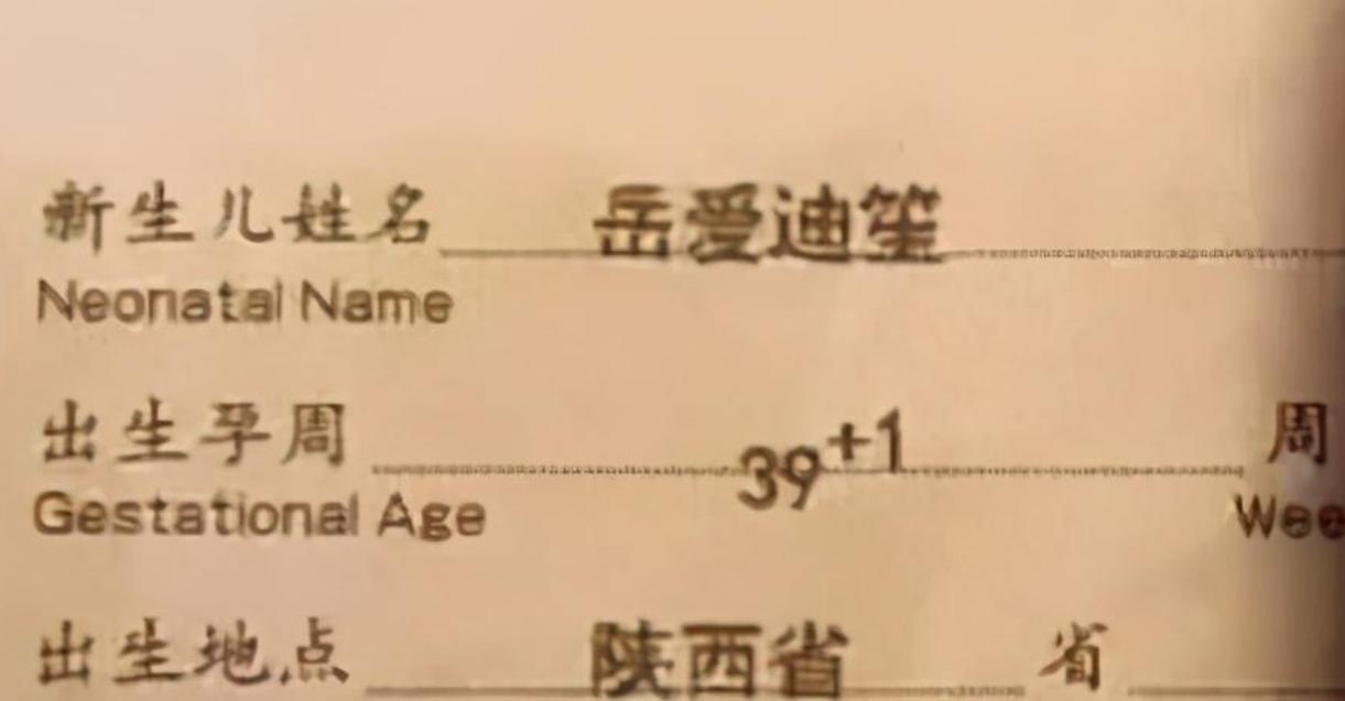 宝宝起名坑怎么办(历史上有哪些离奇失踪的人)