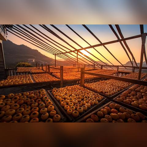 桂林 食星相关长尾关键词有哪些