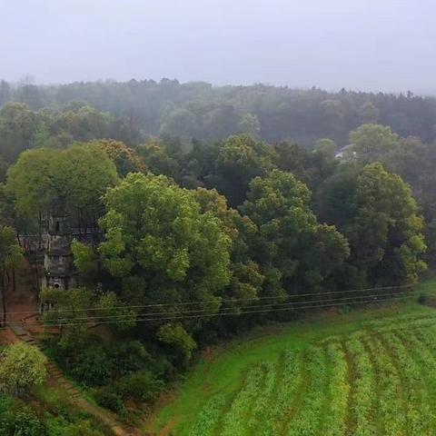 长沙今天凌晨出现雷电天气，在九天出现这种情况，是不是反常？