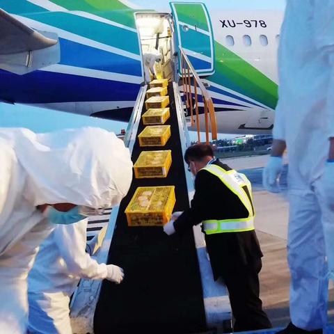 兰州市哪里有进口食品