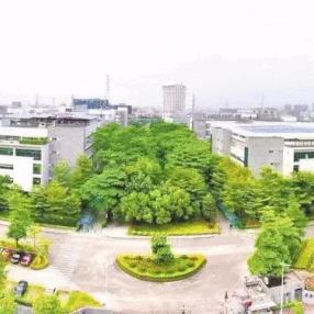 东莞市东聚电子厂怎么样