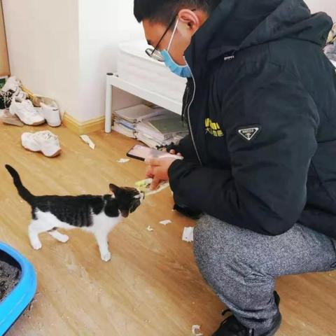 大连新生宠物医院的相关长尾关键词有哪些