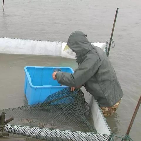 苏州市常熟市达富科技公司的长尾关键词有哪些