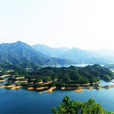 桂林市摘野生蘑菇在哪里
