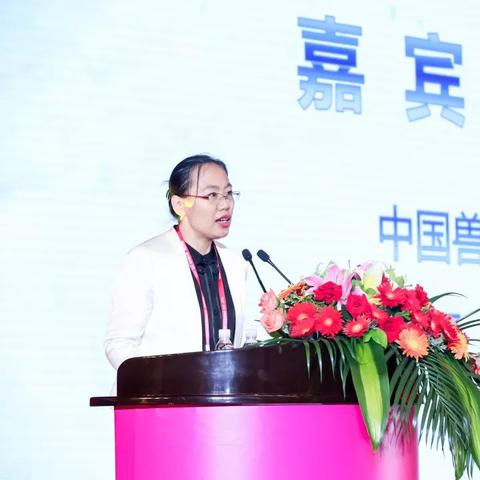 厦门市宠物用品推荐店在哪里