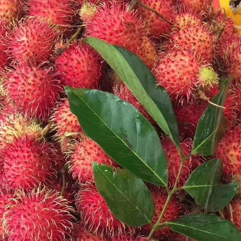 海南天气为什么