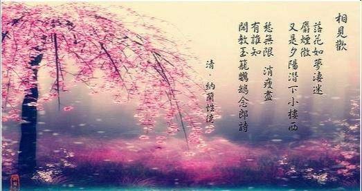 《纳兰容若词传》：现实与理想的冲击，从词中释放心灵深处的呐喊