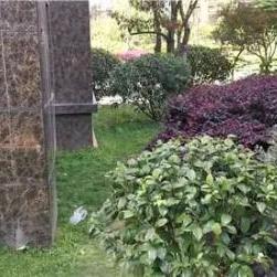长沙 海归相关长尾关键词有哪些