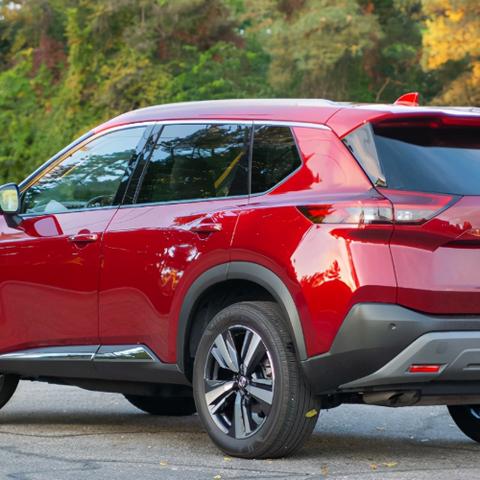 4月10日特吉生肖运势(2021年4月10日特吉生肖)