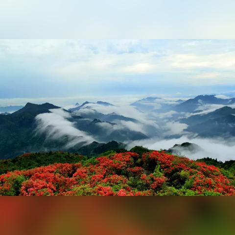 成都市爬龙泉山在哪里啊