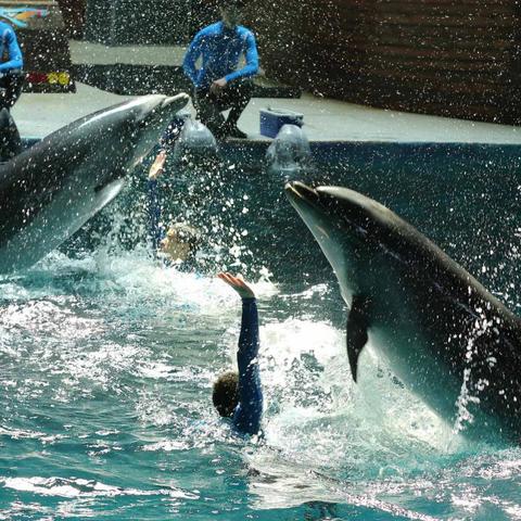 杭州极地海洋公园免费的相关长尾关键词有哪些