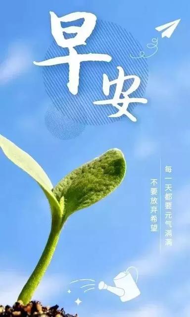 白露早安心语正能量句子